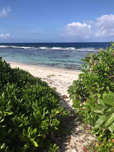 Moorea Temae Villa Walking Dist Beach And Golf Exteriör bild